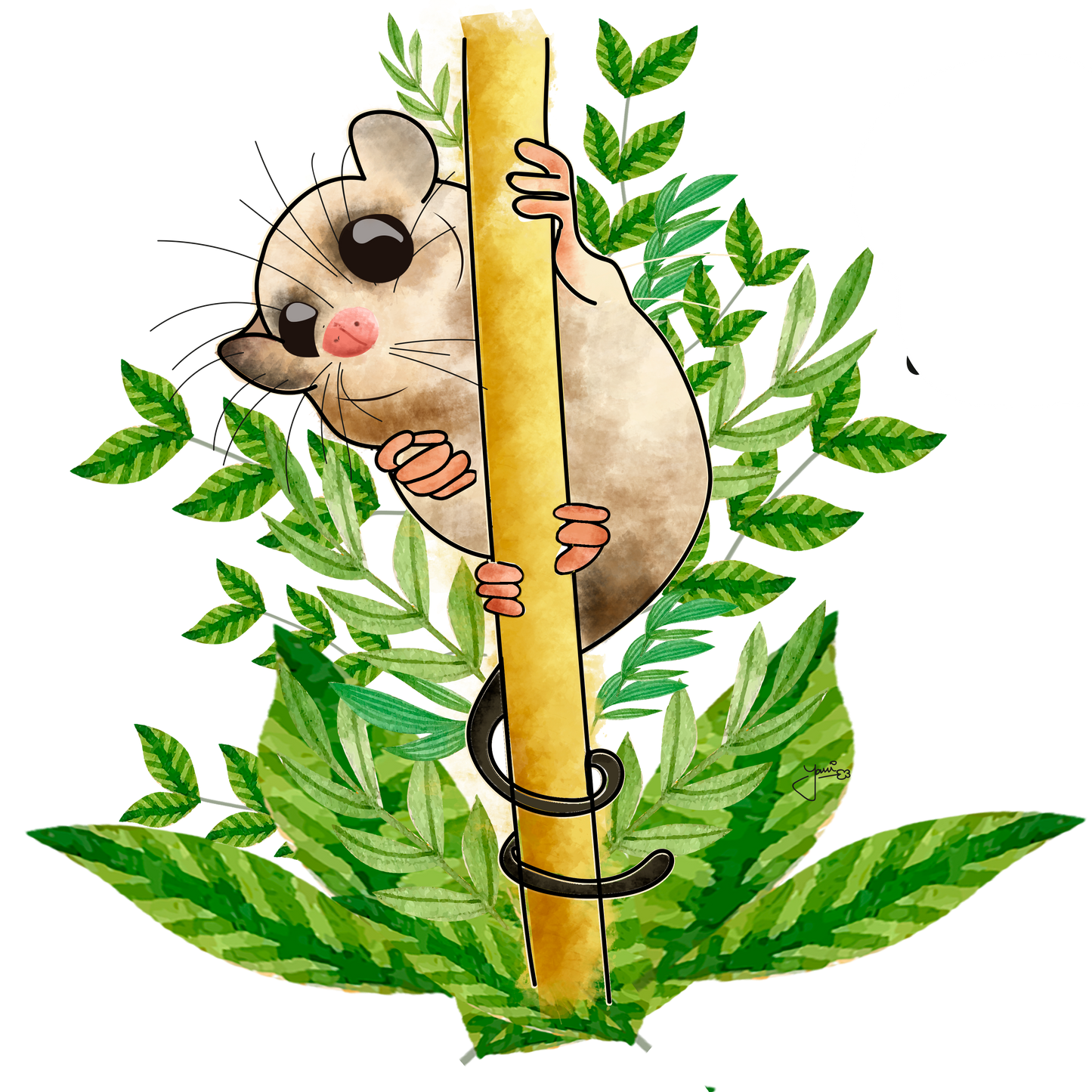 Monito del Monte