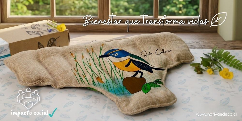 Tejiendo Sueños, Sembrando Segundas Oportunidades: Nativasdeco y el Programa Rehace