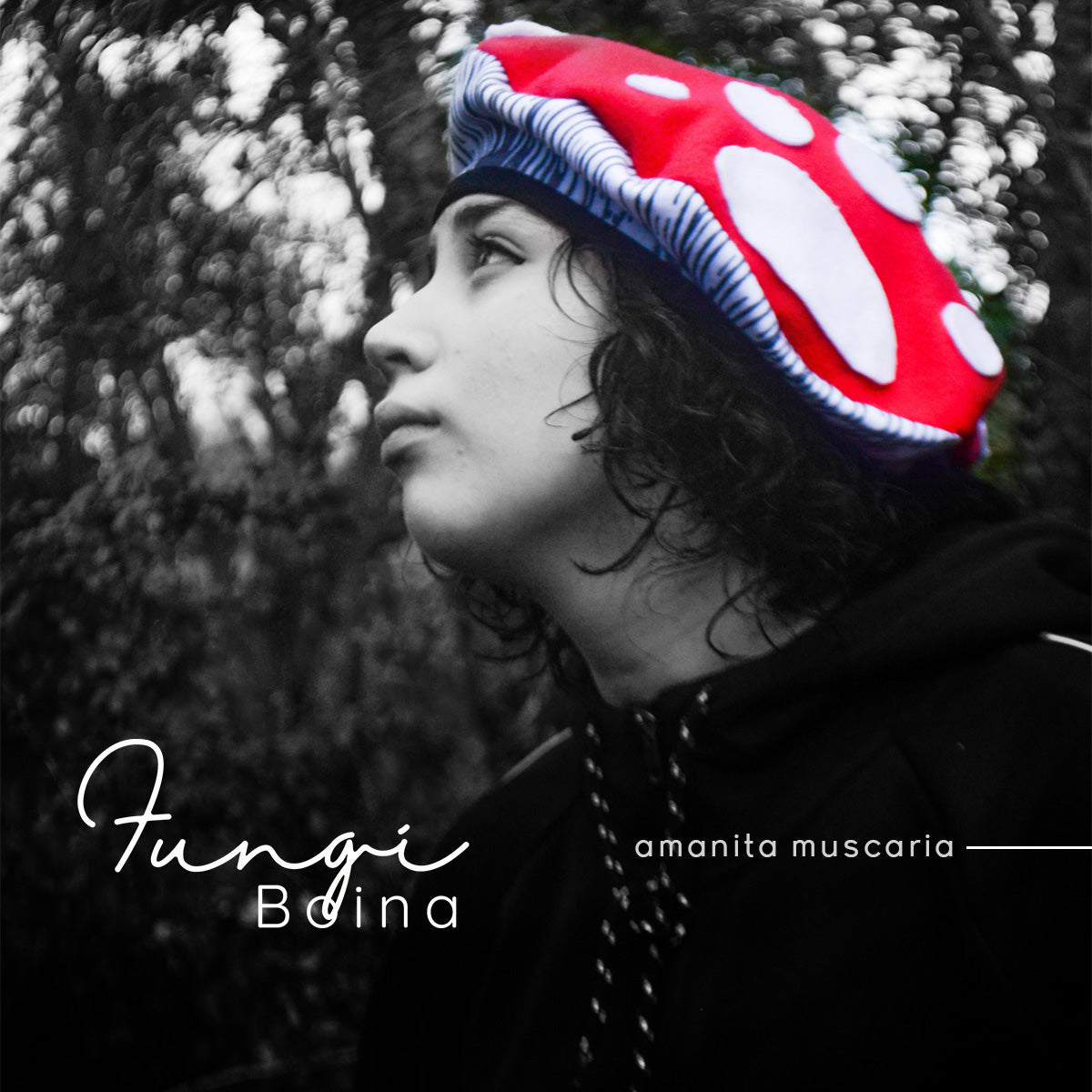 Fungi Boina Amanita muscaria