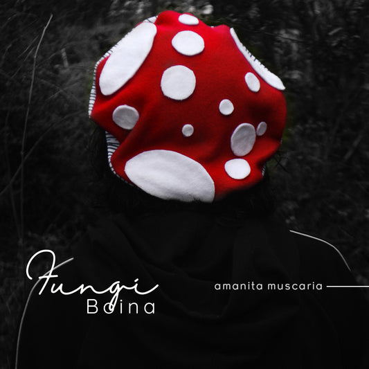 Fungi Boina Amanita muscaria