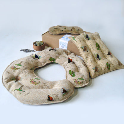 Set Guateros Aves de Chile