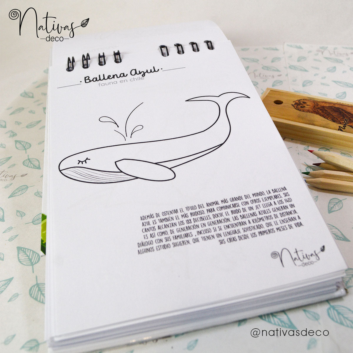 Libro para pintar Zorro