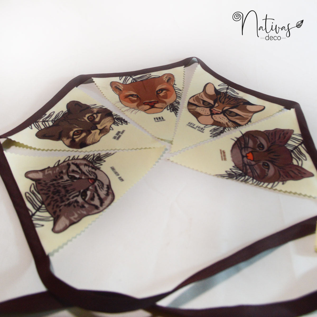 Banderines Gatos Nativos