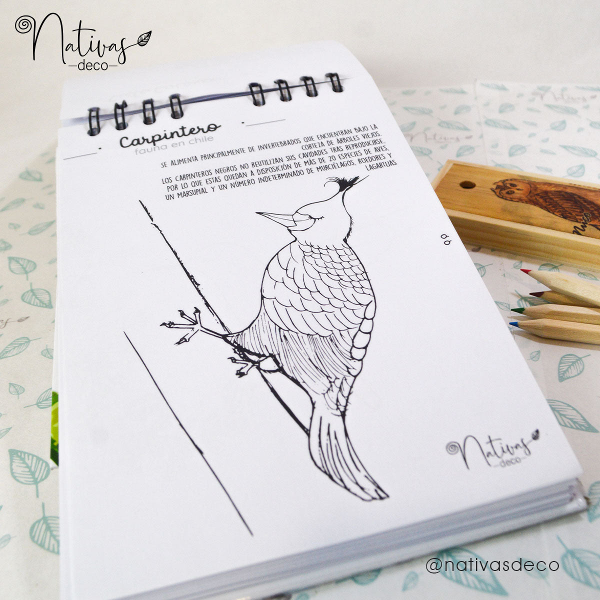 Libro para pintar Zorro