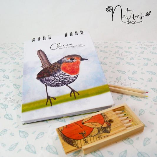 Libro para pintar Chucao