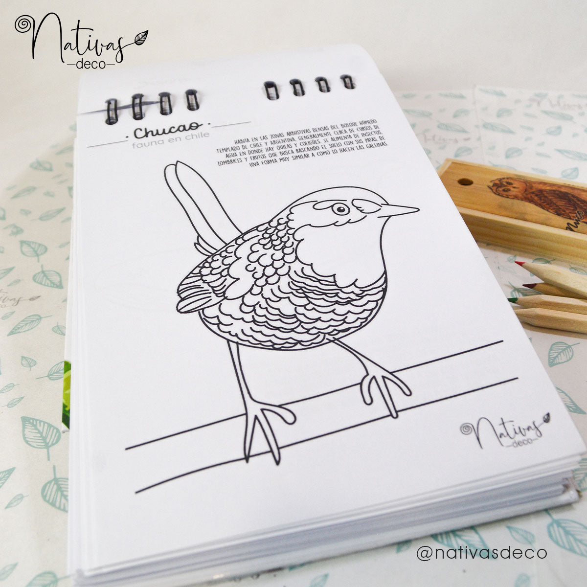 Libro para pintar Aves
