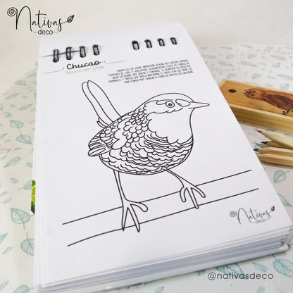 Libro para pintar Aves