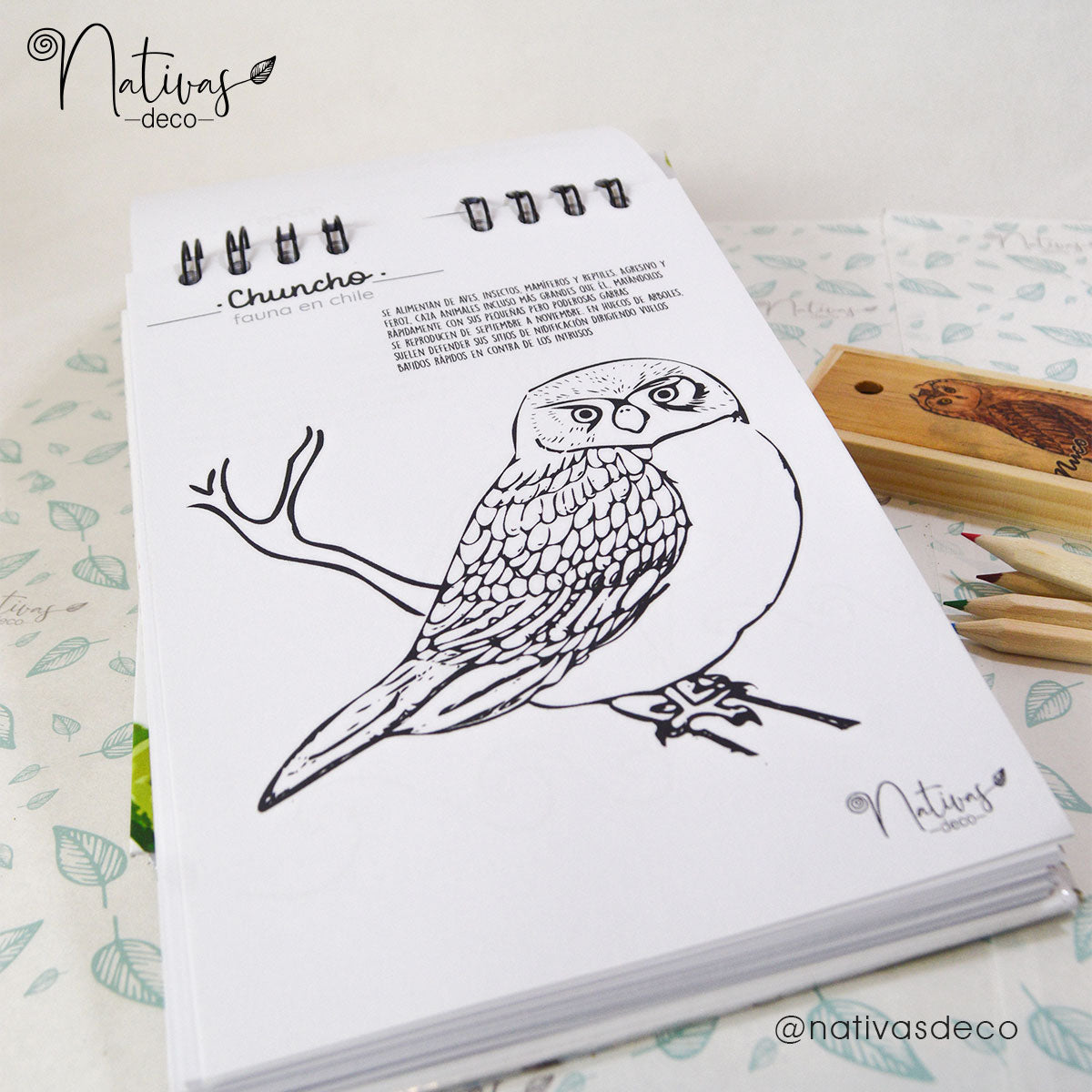 Libro para pintar Aves