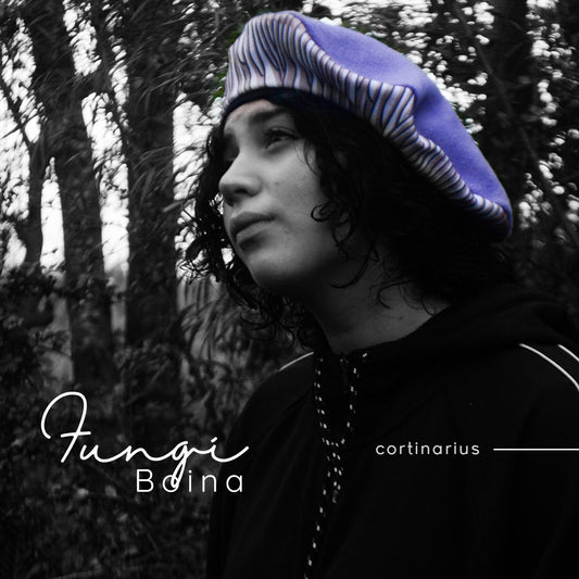 Fungi Boina cortinarius