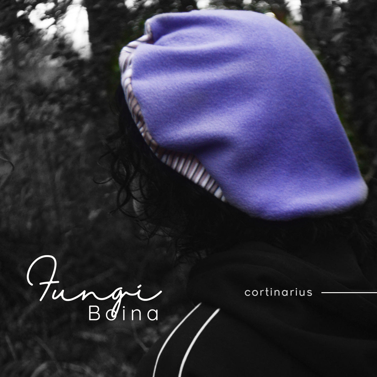Fungi Boina cortinarius