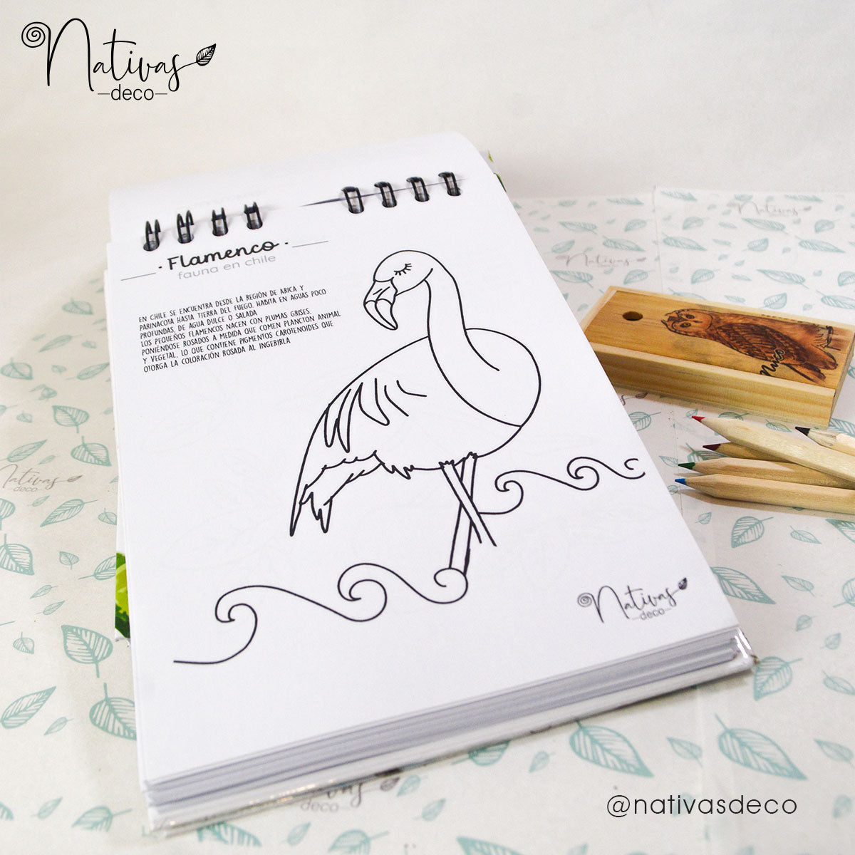 Libro para pintar Zorro