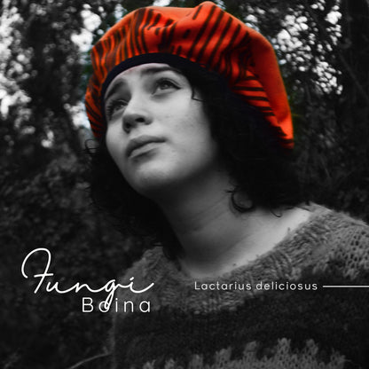 Fungi Boina Lactarius deliciosus