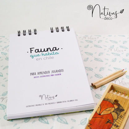 Libro para pintar Chucao