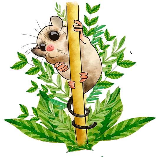Monito del Monte