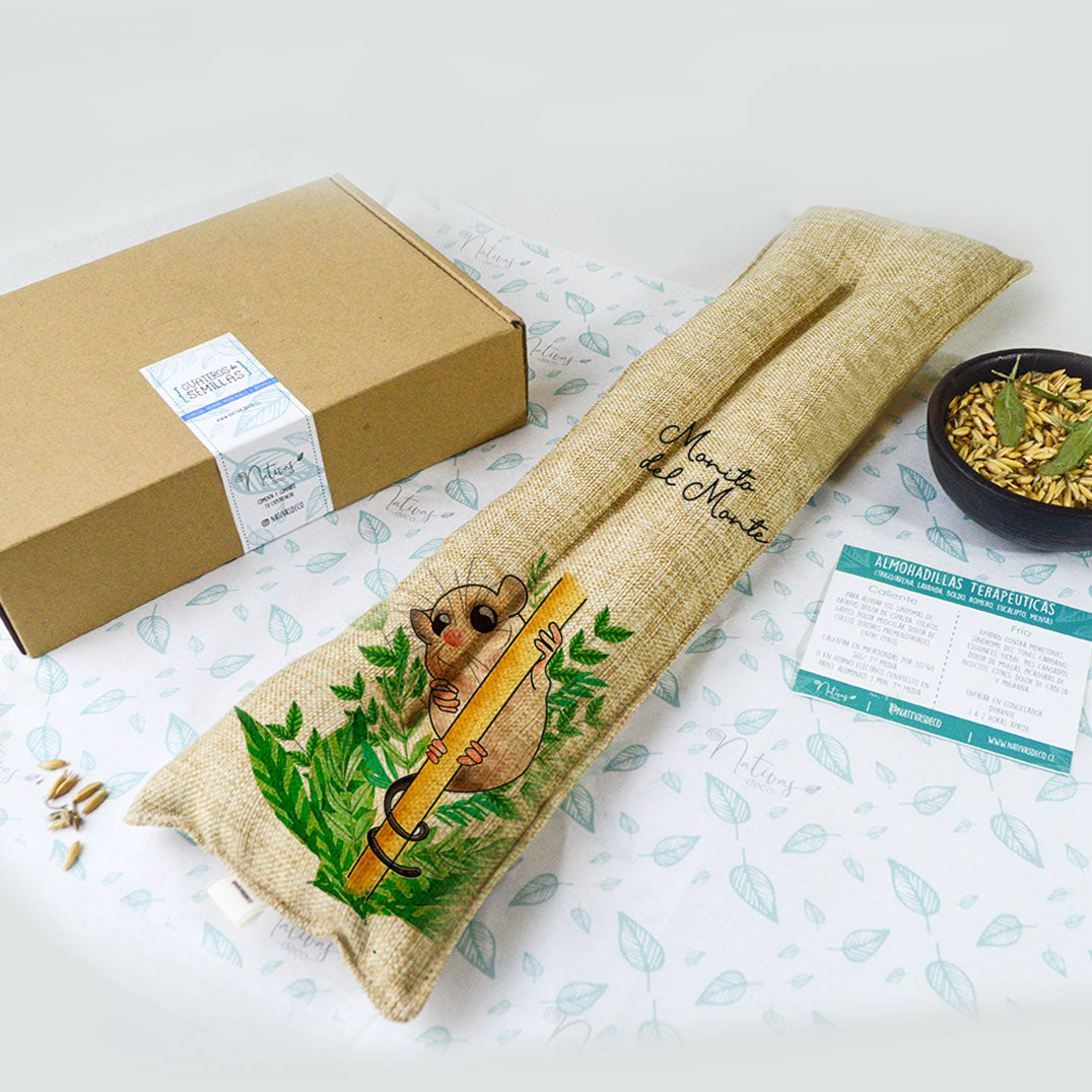 Guatero Lumbar Monito