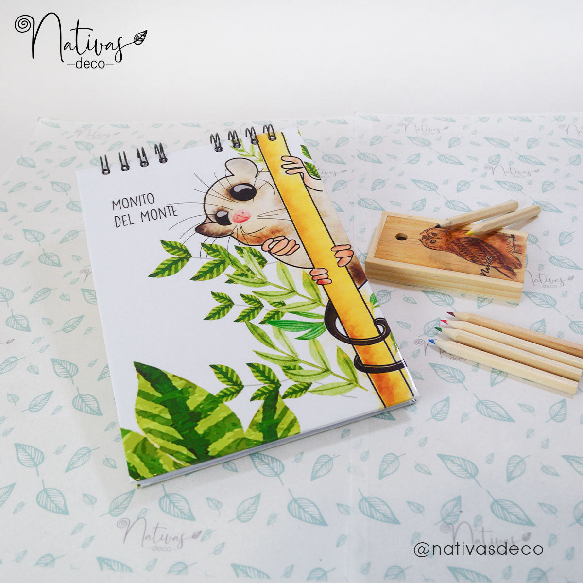 Libro para pintar Aves