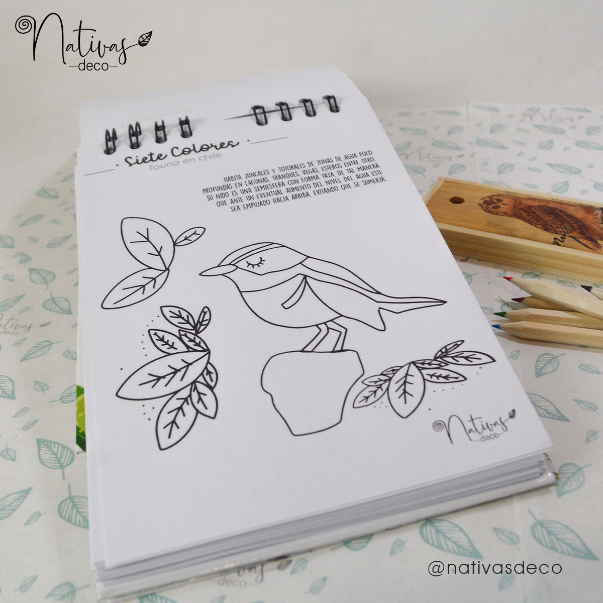 Libro para pintar Aves