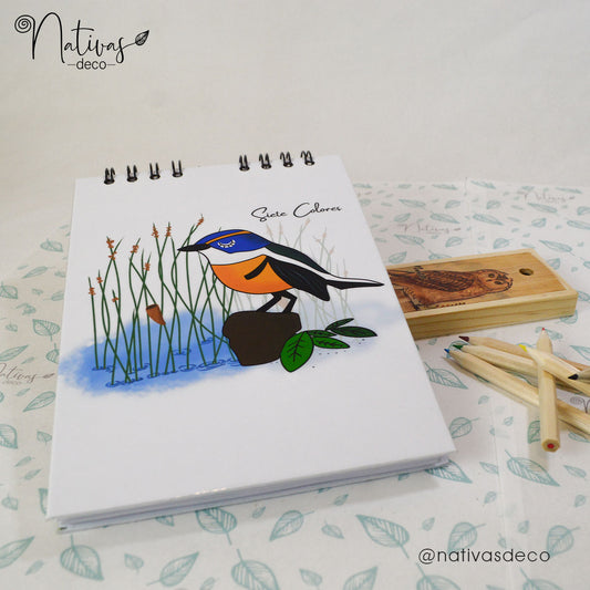 Libro para pintar Siete Colores