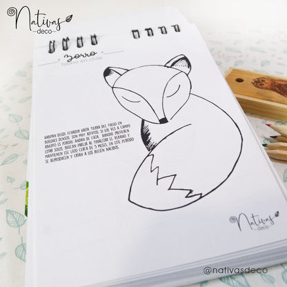 Libro para pintar Aves