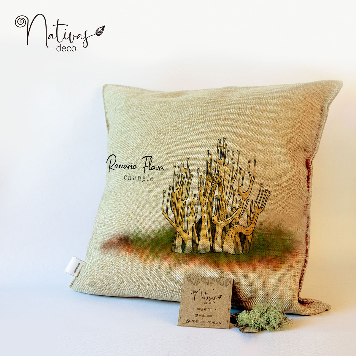 Cojin Fungi / Changle