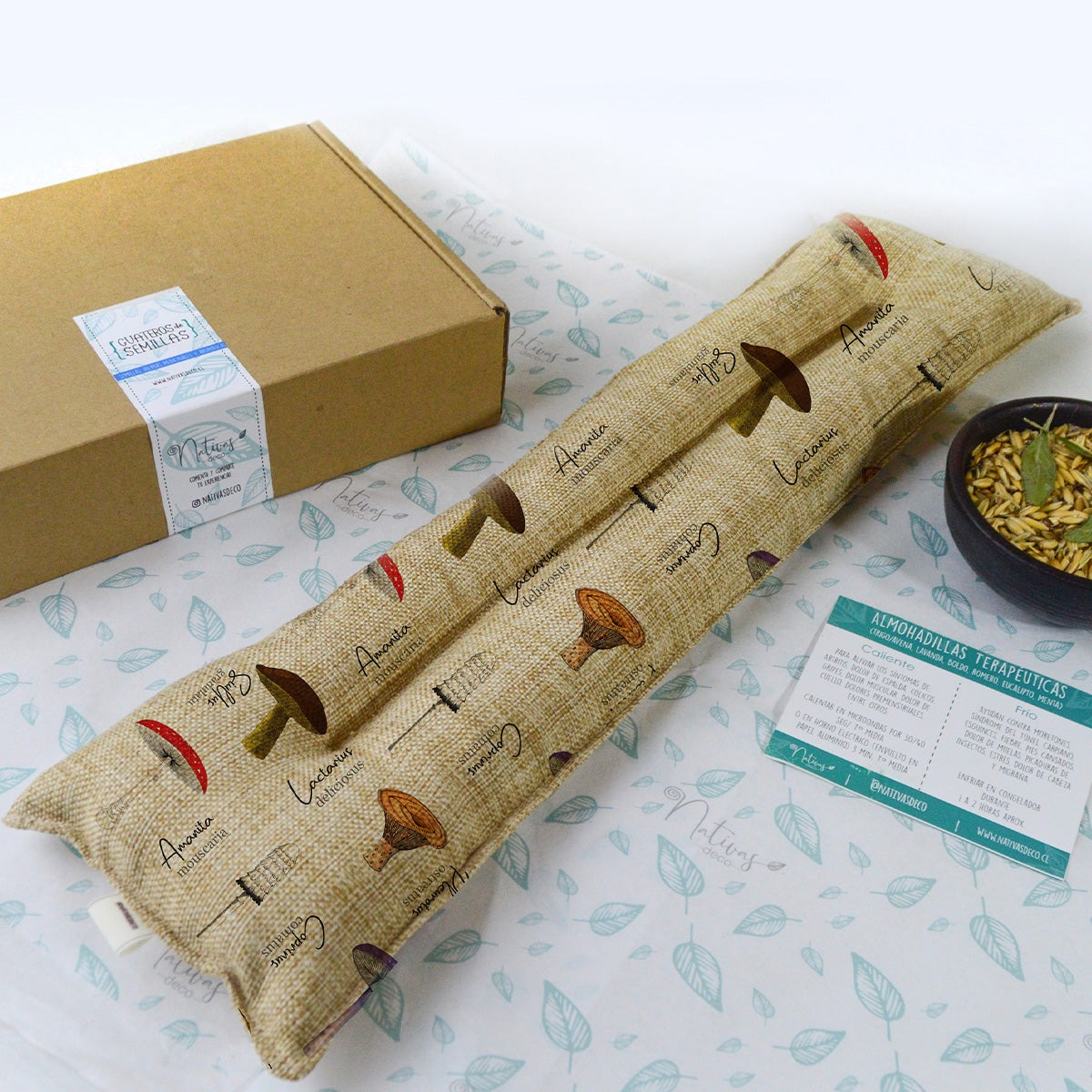 Guatero Lumbar Fungi