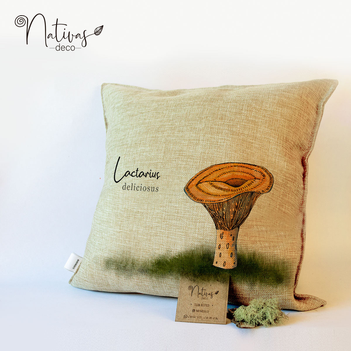 Cojin Fungi / Lactarius